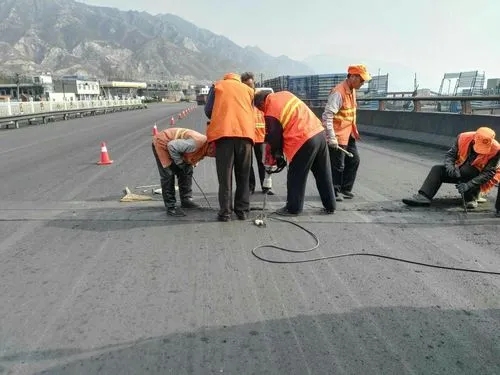 鸠江道路桥梁病害治理